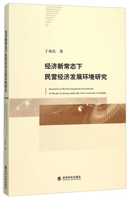 

经济新常态下民营经济发展环境研究
