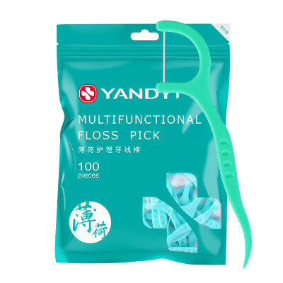 

YANDY Mint Dental Care Floss Pick 100 Count