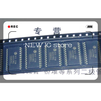 

20pcs/lot HV513WG HV513 SOP-24 IC Free Shipping