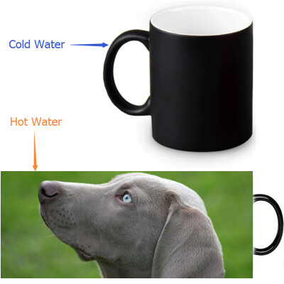 

Weimaraner 350ml12oz Heat Reveal Mug Color Change Coffee Cup Sensitive Morphing Mugs Magic Mug Milk Tea Cups