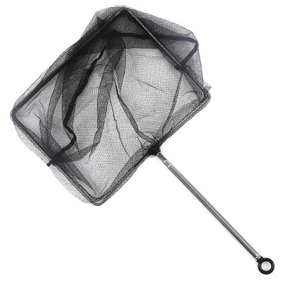 

Natural COLOR fish tank supplies tropical fish net fishing stainless steel square fishing 6 inch