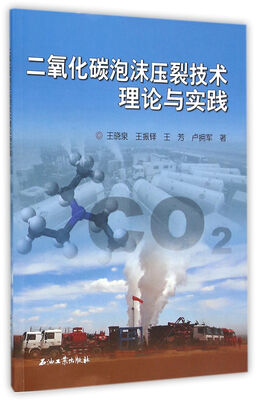 

二氧化碳泡沫压裂技术理论与实践