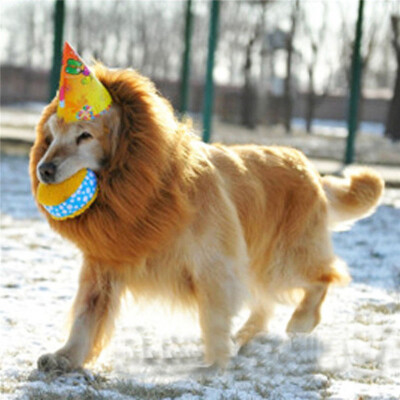 

MyMei  New Cute Pet Costume Lion Mane Wig for Dog Cat Halloween Clothes Fancy Dress up LIGHT BROWN