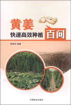 

黄姜快速高效种植百问