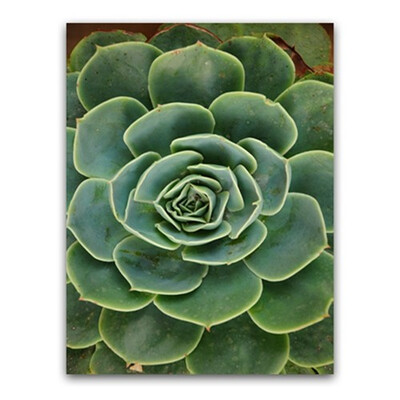 

AHUIZ Nordic Poster Canvas Print plant Wall Pictures For Living Room Home Decor No Frame FA758