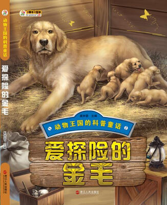 

爱探险的金毛