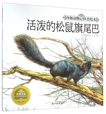 

活泼的松鼠旗尾巴