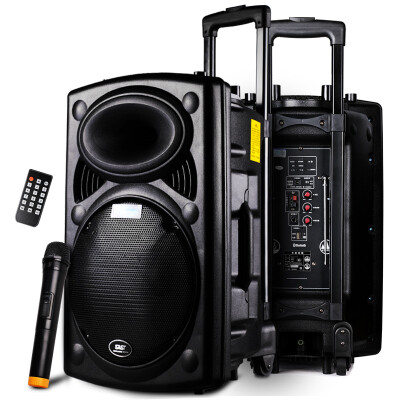 

SAST Tianyun 11 12-inch trolley speaker square dance audio outdoor portable card loudspeaker with wireless microphone