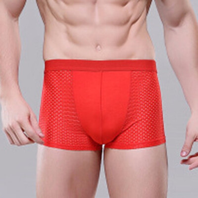 

Ice Silk Mens Boxer Shorts Super Breathable Mesh Men Underwear