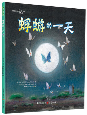 

蜉蝣的一天