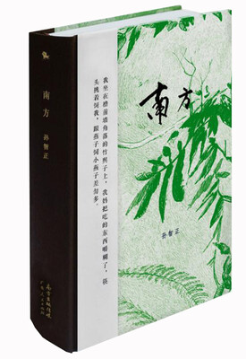 

南方