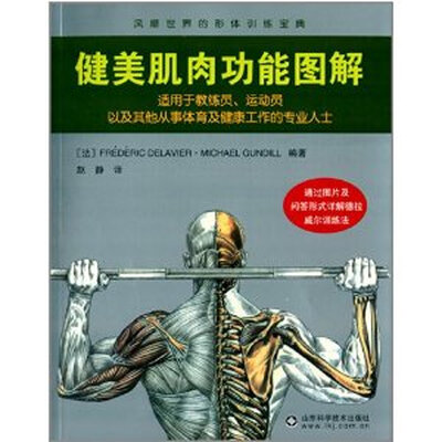 

健美肌肉功能图解
