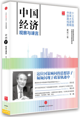 

中国经济：观察与谏言