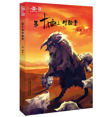 

儿童文学金牌作家书系：第十四对肋骨