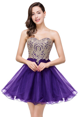 

Lovely Short Beaded Cheap Sweetheart A-Line Prom Dresses Appliques Sparkly Organza Homecoming Dresses