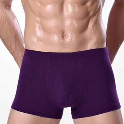 

Fashion New Mens Boxer Briefs Bamboo Fiber Modal Pants