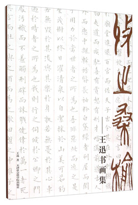 

收之桑榆 王迅书画集