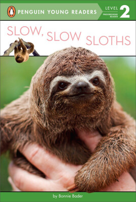 

Slow Slow Sloths