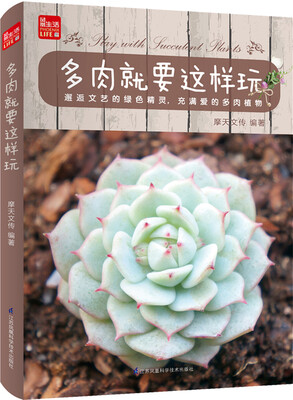 

多肉就要这样玩/凤凰生活