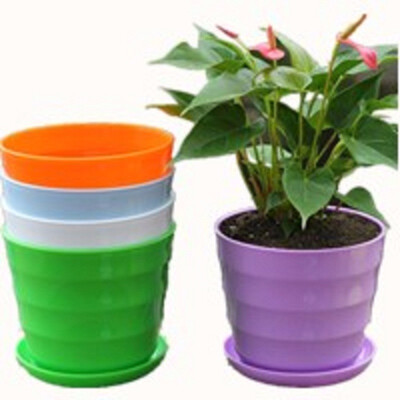 

Cntomlv 3pcs Mini Plastic Plant Flower Pot Home Office Decor Planter Colorful With Pots Trays Green Plant Artificial