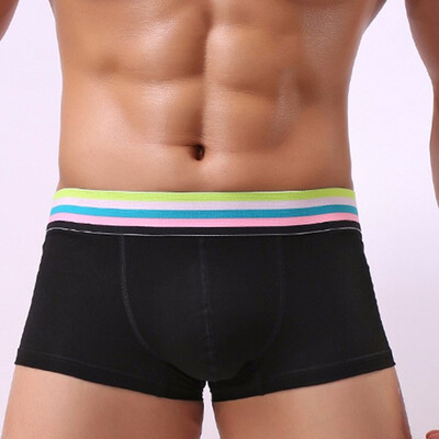

Mens Breathable Sweat-Absorbent U Convex Sexy Cotton Low waist Underwear