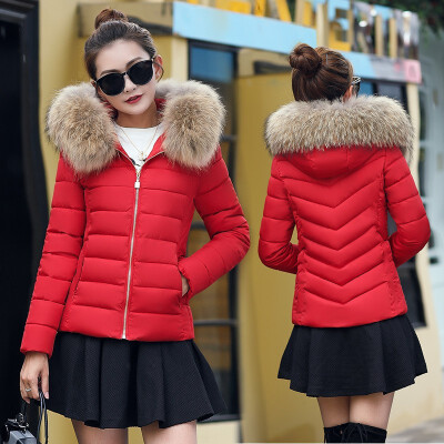 

2018 winter womens hooded Slim thin cotton coat large fur collar cotton jacket