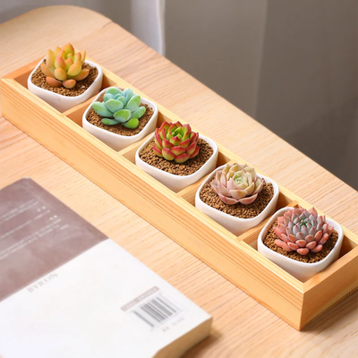 

Mini Square White Ceramic Plant Pot Cactus Succulent Planter with Wooden Tray Set of 5 Plants are not included