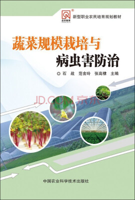 

蔬菜规模栽培与病虫害防治