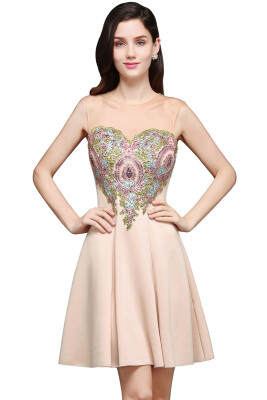 

A-Line Scoop Chiffon Short Homecoming Dress With Appliques