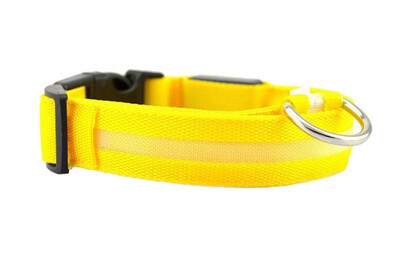 

Cntomlv Night Safety LED Dogs CollarNylon Lights Flashing Glow In Dark Electric Pet Coolars7Colors Pet Supplies Dog Cat Leash