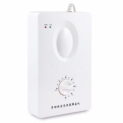 

Multifunctional Ozone Generator Air Purifier Fruit Vegetable Sterilizer Decompose residual hormones&antibiotics in meat
