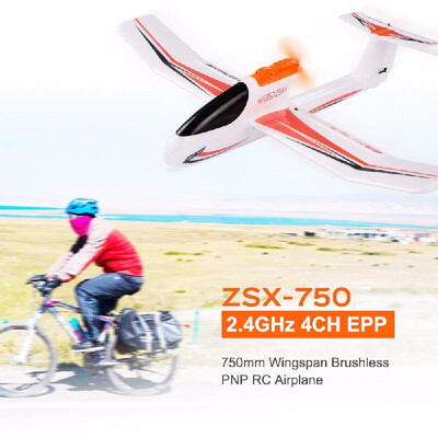

ZSX-750 24GHz 4CH EPP 750mm Wingspan RTF Brushed RC Airplane Aircraft