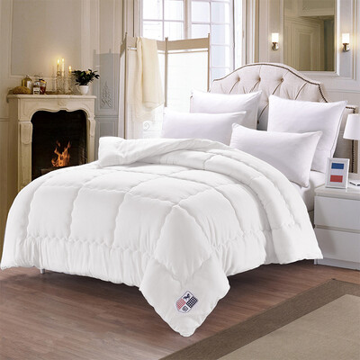 

Yier quilt quilt feather velvet autumn winter thick warm quilt single double soft core 200230cm weight 6 kg pure white