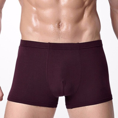 

Fashion New Mens Boxer Briefs Bamboo Fiber Modal Pants