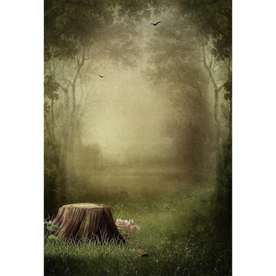 

Morning Forest Photo Backdrop 57FT Vinyl Fabric Cloth Digital Printing Photo Background S-3233