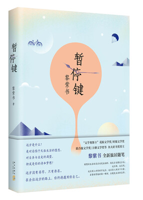 

暂停键