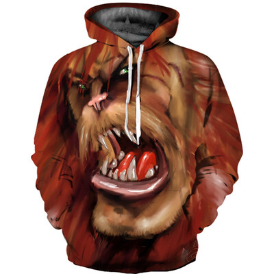 

QL-525 Mens Hoodie 3D Printed Women Pullover Sweater
