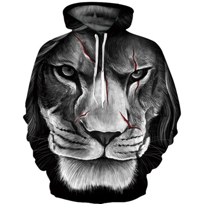 

QL-434 Mens Hoodie 3D Printed Women Pullover Sweater