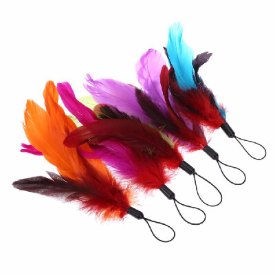 

5PCS Colorful Natural Long Feather Pet Kitten Cat Teaser Cute Design Replacement Refill Feather for Cat Rod Wand