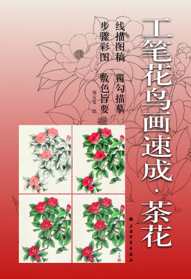 

工笔花鸟画速成·茶花