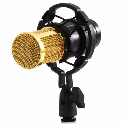 

BM - 800 Condenser Sound Recording Microphone with Sound Card Shock Mount for Radio Broadcasting Singing