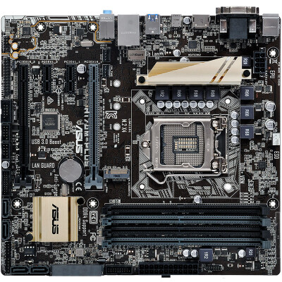 

Материнская плата ASUS (ASUS) H170M-PLUS (Intel H170 / LGA 1151)