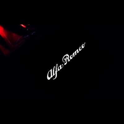 

2pcs Car Door Welcome lights For Alfa Romeo Giulia Stelvio Car LED Door Warning Light Projector Light Logo Customizable