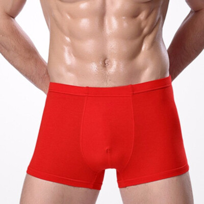 

Fashion New Mens Boxer Briefs Bamboo Fiber Modal Pants