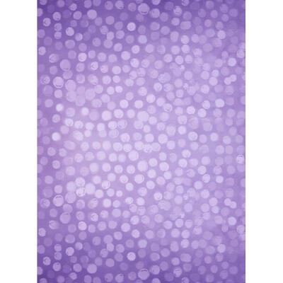 

Blue Sky Photo Backdrop 57FT Vinyl Fabric Cloth Digital Printing Photo Background f-2205