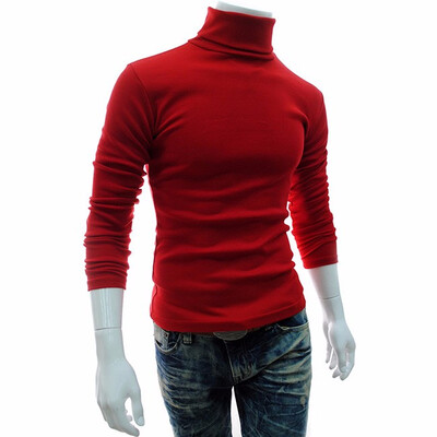 

Turtleneck Cotton Plain Long Sleeve Pullover Mens Sweaters