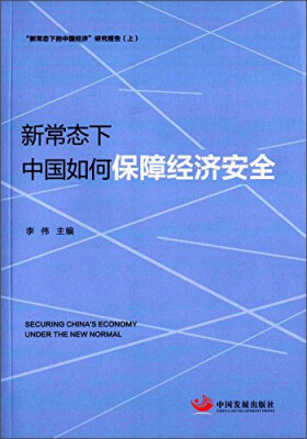 

新常态下中国如何保障经济安全