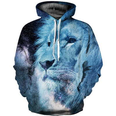 

QL-515 Mens Hoodie 3D Printed Women Pullover Sweater