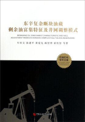 

石油石化学术文库东辛复杂断块油藏剩余油富集特征及井网调整模式