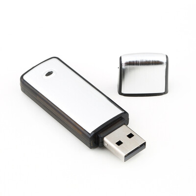 

Новый 2 в 1 8GB Digital Audio Voice Recorder Pen USB флэш-накопитель Disk